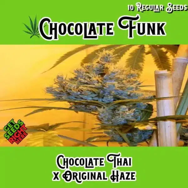 Chocolate Funk