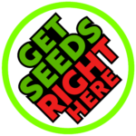 GSRH_2023_logo
