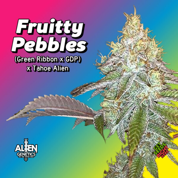 Fruity Pebbles Cannabis Clones