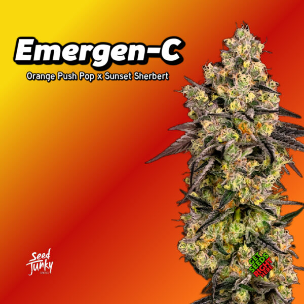 emergenC Cannabis Clones
