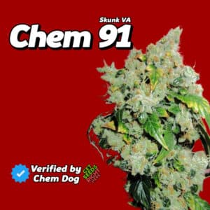 Chem 91 Skunk VA featuring the text 'Verified by Chem Dog.