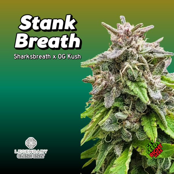 Stank Breath Cannabis Clones