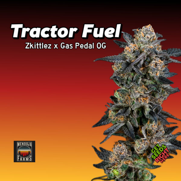 Tractor Fuel Cannabis Clones