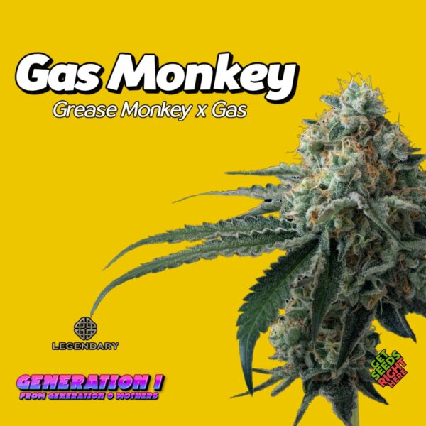 Gas Monkey (clone)