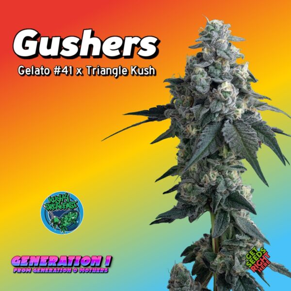 Gushers  (clone)