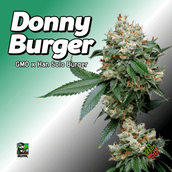 Donny Burger Cannabis Clones copy