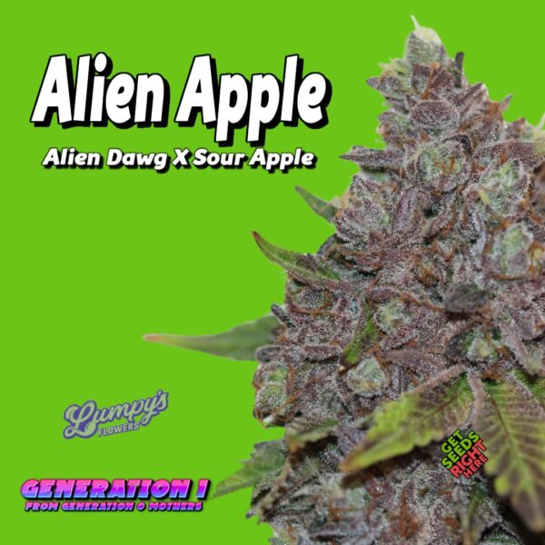 A close-up of a cannabis plant labeled "Alien Apple" against a bright green background. Text on the image reads "Alien Dawg X Sour Apple," "Generation 1 from Generation 0 Mothers," and "Lumpy's Flowers." A small logo says "Get Seeds Right Here.
