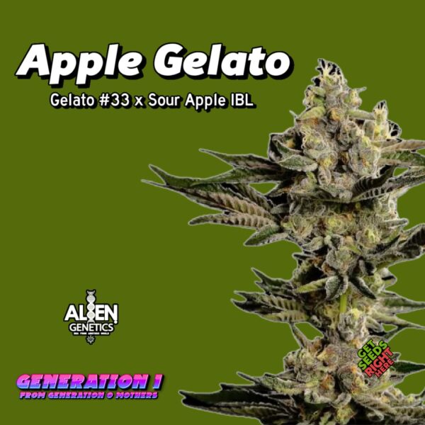 Apple Gelato Cannabis Clones