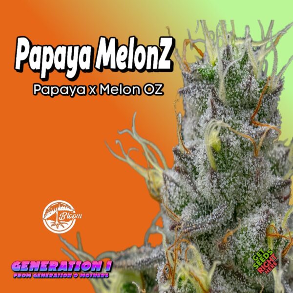 Papaya Melonz (Clone)