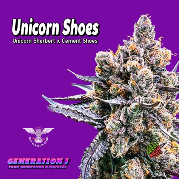 Unicorn Shoes Cannabis Clones