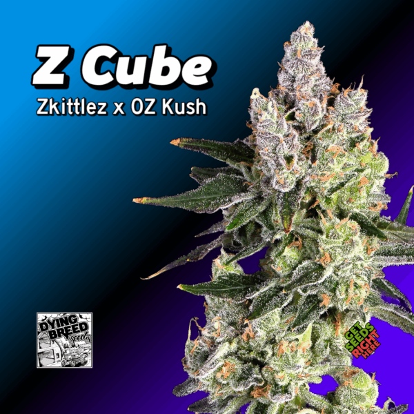 Z Cube Cannabis Clones