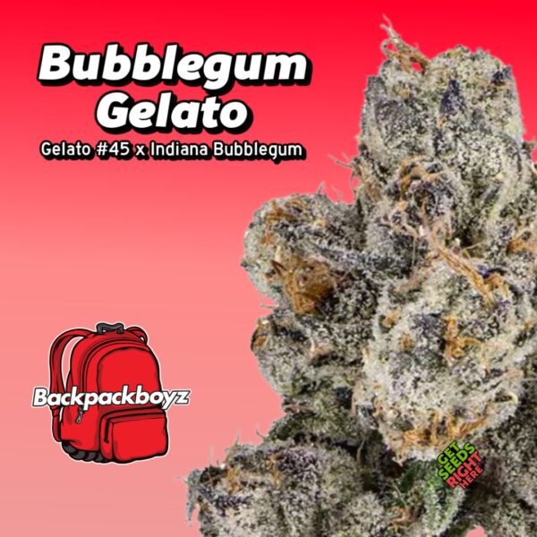 Bubblegum Gelato Cannabis Clones for sale