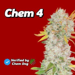 Chem 4 cannabis bud covered in frosty trichomes against a red background with text 'Verified by Chem Dog'.