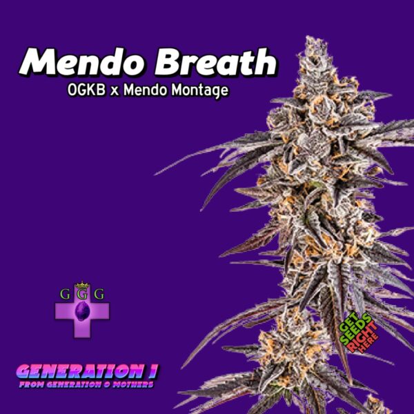 Mendo Breath (Clone)