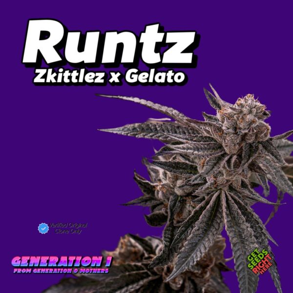 Runtz (Clone)