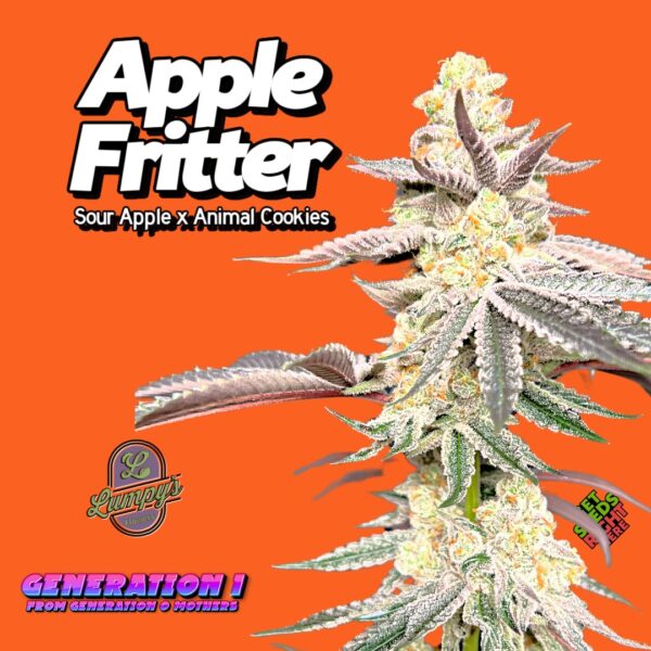 Apple Fritter (clone)