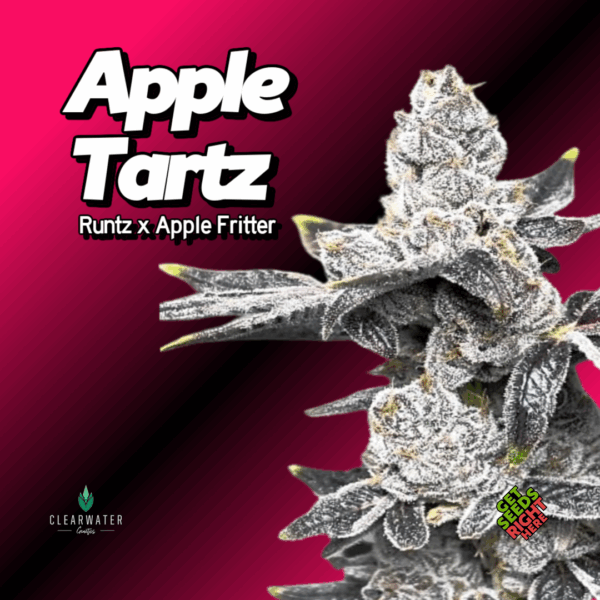 Apple Tartz Cannabis Clones