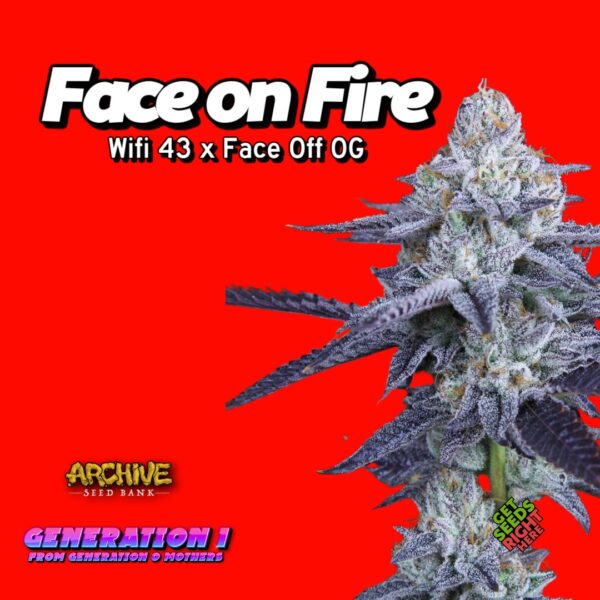 Face on Fire (clone)