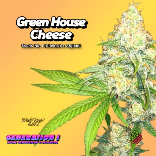Green House Cheese (clone)
