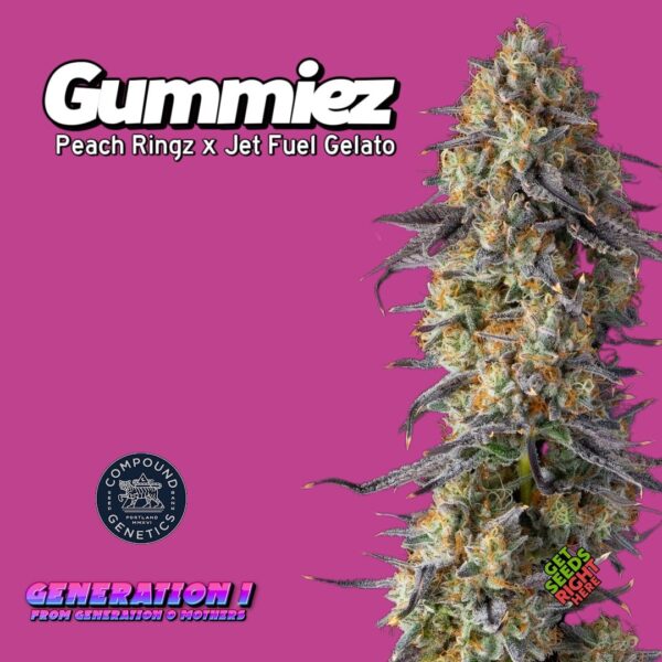 Gummiez  (clone)