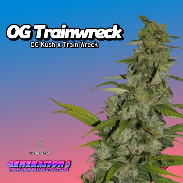OG Trainwreck (clone)