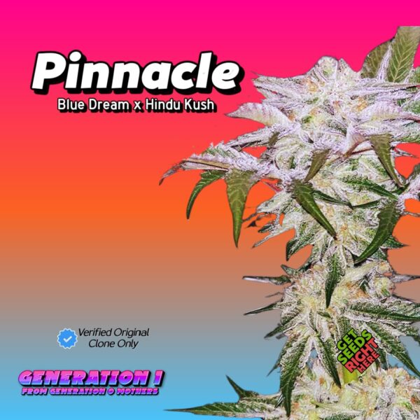 Pinnacle (clone)