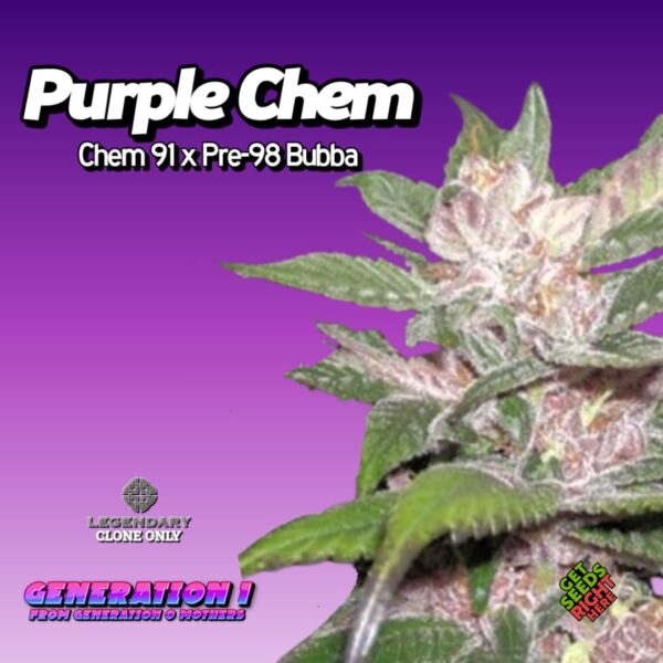 Purple Chem (clone)