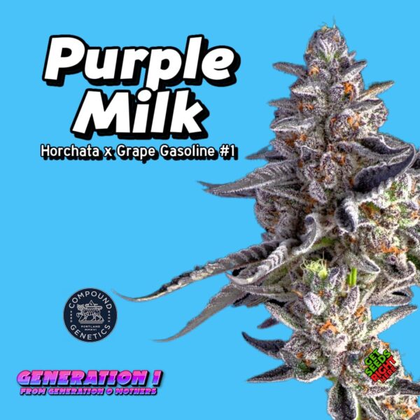 Purple Milk Cannabis Clones for sale