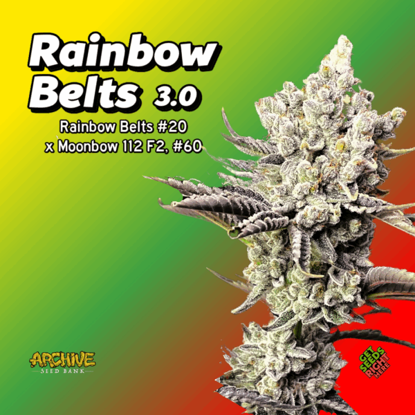 Rainbow Belts 3-0 Cannabis Clones