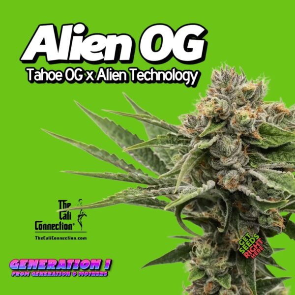 Alien OG (Clone)