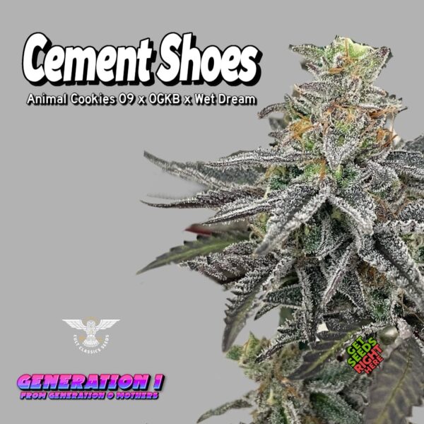 Cement Shoes (Clone)