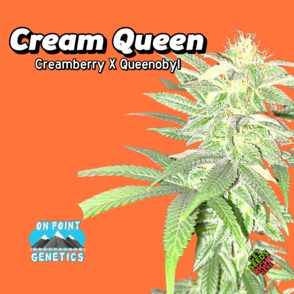 Cream Queen (clone)