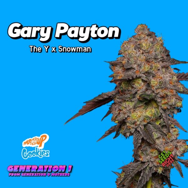 Gary Payton Cannabis Clones