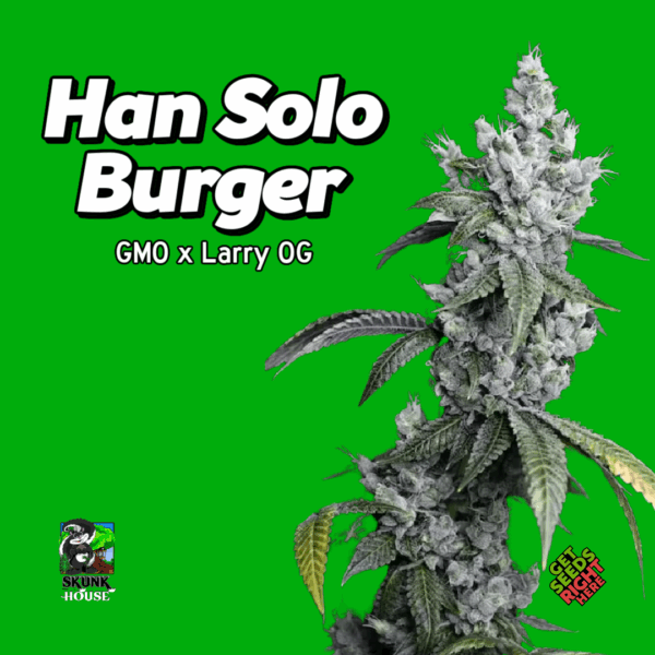 Han Solo Burger Cannabis Clones