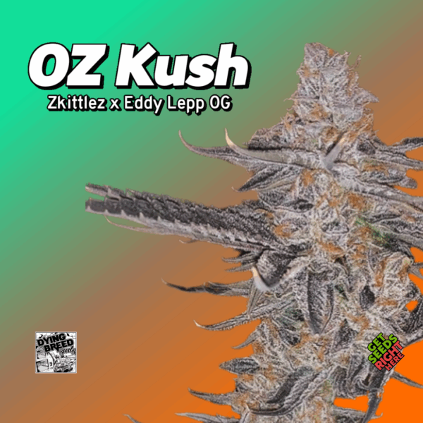 OZ Kush Cannabis Clones