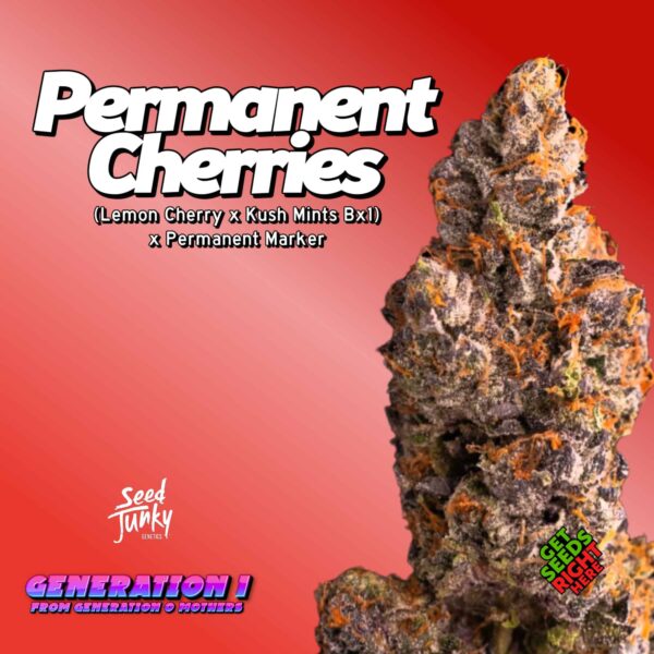 Permanent Cherries Cannabis Clones