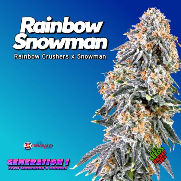 Rainbow Snowman (Clone)