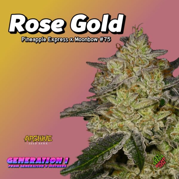 Rose Gold Cannabis Clones