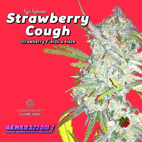 Strawberry Cough Cannabis Clones for sale