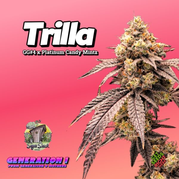 Trilla Cannabis Clones