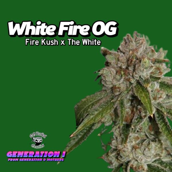 White Fire OG (clone)