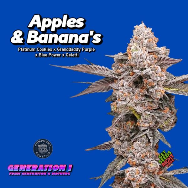 Apple's & Banana's Cannabis Clones