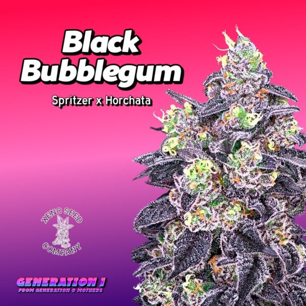 Black Bubblegum (clone)
