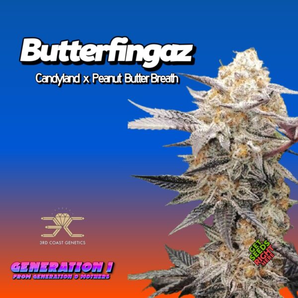 Butterfingaz (clone)