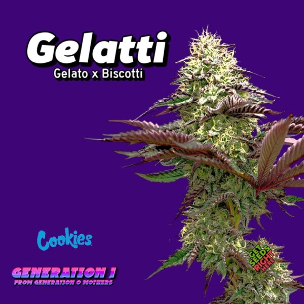 Gelatti (clone)