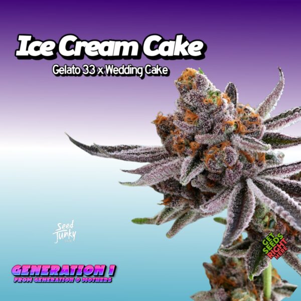 Ice Cream Cake (clone)