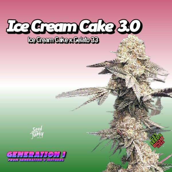 Ice Cream Cake  3.0 (clone)