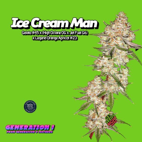 Ice Cream Man (clone)