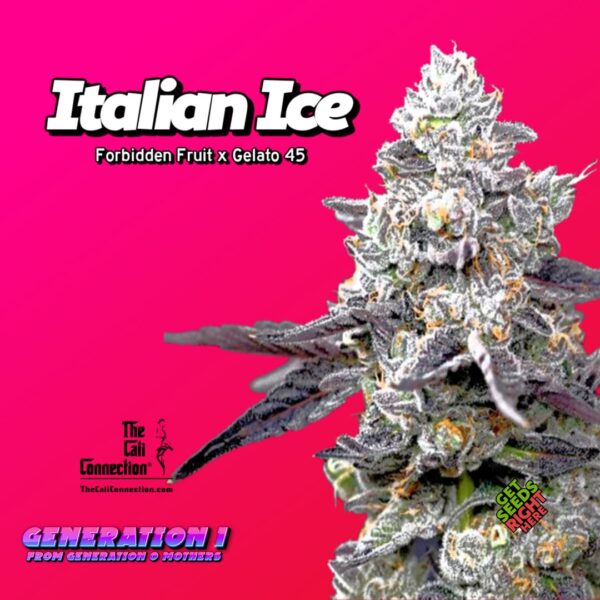 Italian Ice (clone)