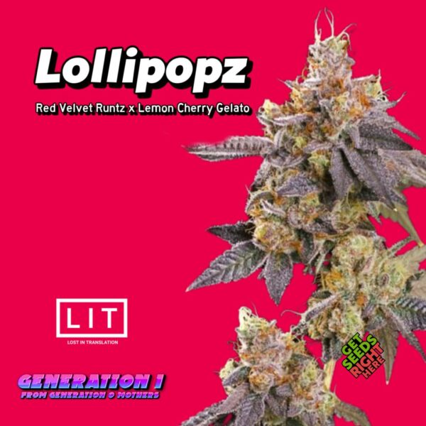 Lollipopz (clone)